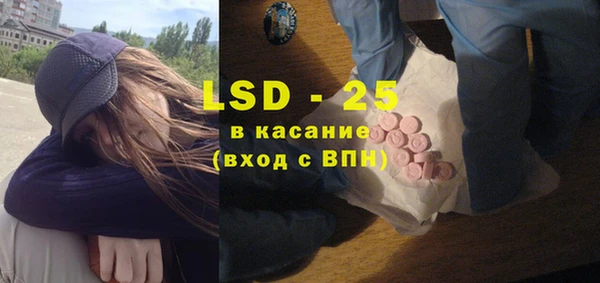ГАЛЛЮЦИНОГЕННЫЕ ГРИБЫ Абаза