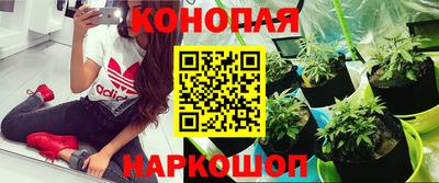 гашишное масло Конаково
