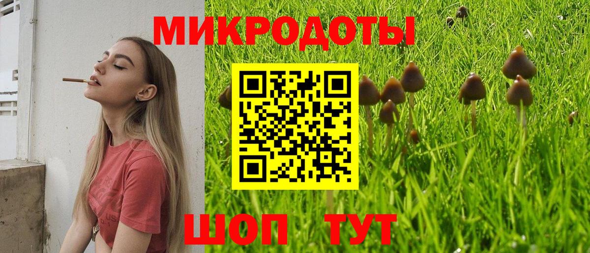 Галлюциногенные грибы GOLDEN TEACHER  Вход с VPN  Кудымкар 